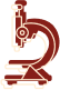 microscope-icon